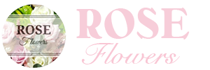 Rose Flowers